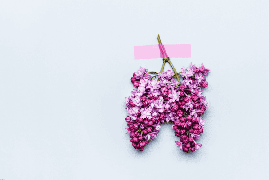 Representação artística dos pulmões com flores roxas e lilases sobre fundo claro.